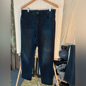 Style & Co Slim Leg Dark Wash Jeans